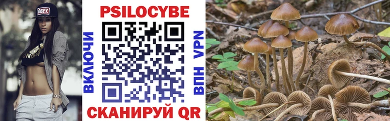 наркотики Асбест Галлюциногенные грибы Cubensis